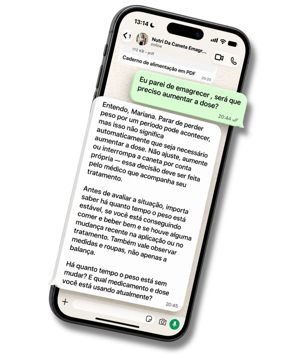 Conversa no WhatsApp com a Nutri da Caneta respondendo uma dúvida sobre o efeito platô